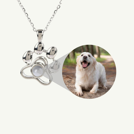 Collier chien photo personnalisé